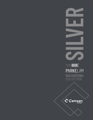 Silver katalog